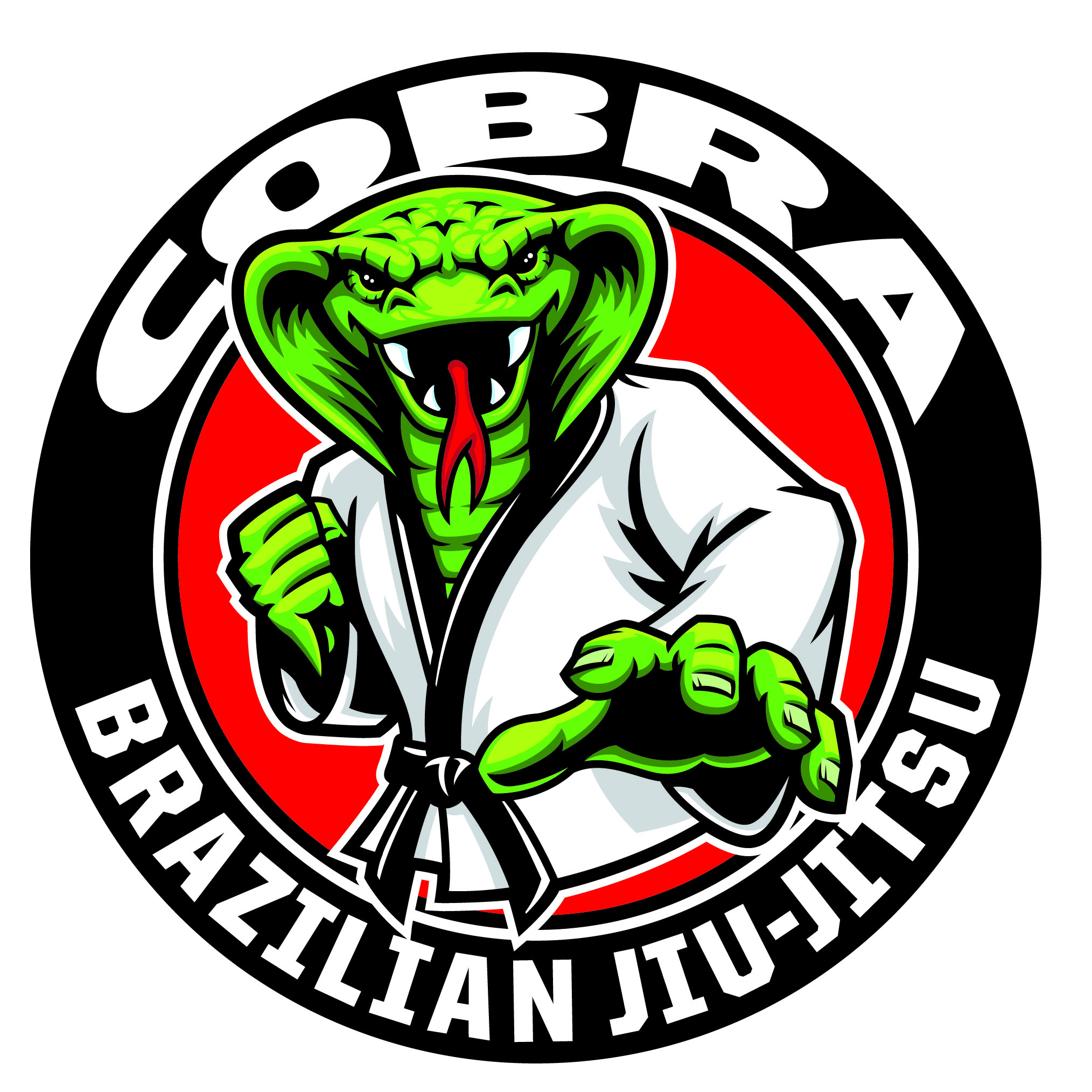 Instructors - Cobrinha BJJ